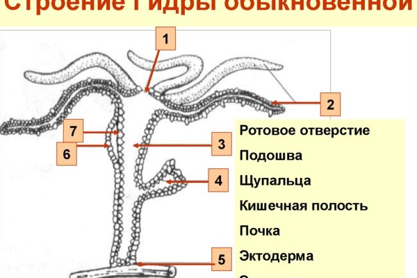 Наркосайт кракен