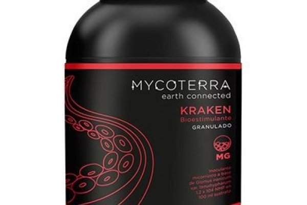 Kraken найдется все