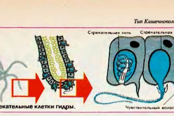 Как найти ссылку на кракен