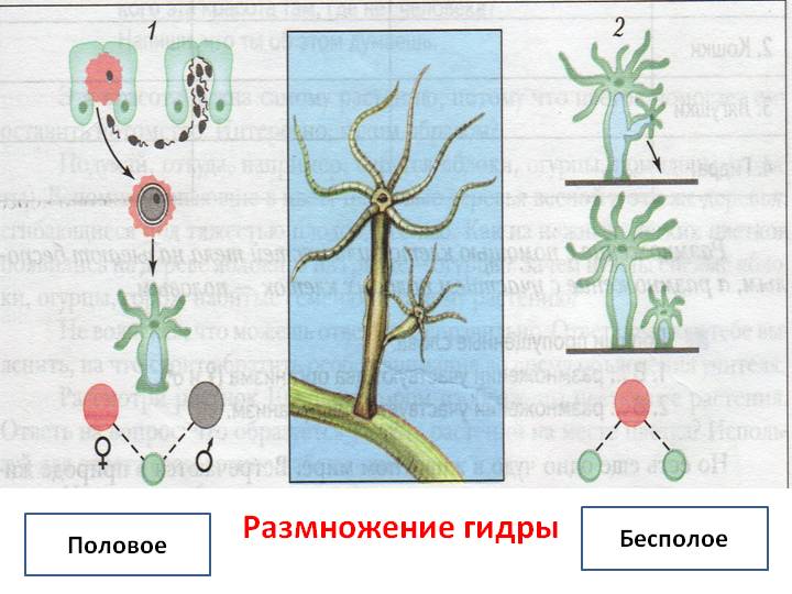 Ссылка кракен kraken014 com